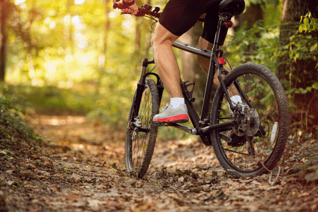 exp-bicicletas