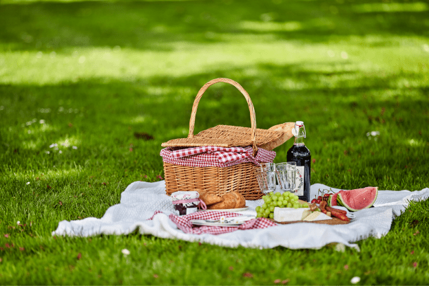 exp-picnic3