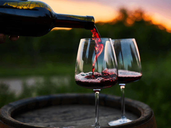 exp_vino
