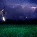 Por qué brillan las luciérnagas y la ciencia oculta en Nanacamilpa