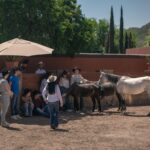 caballos