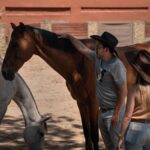 caballos