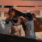 caballos