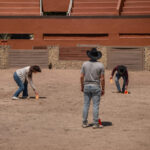 caballos